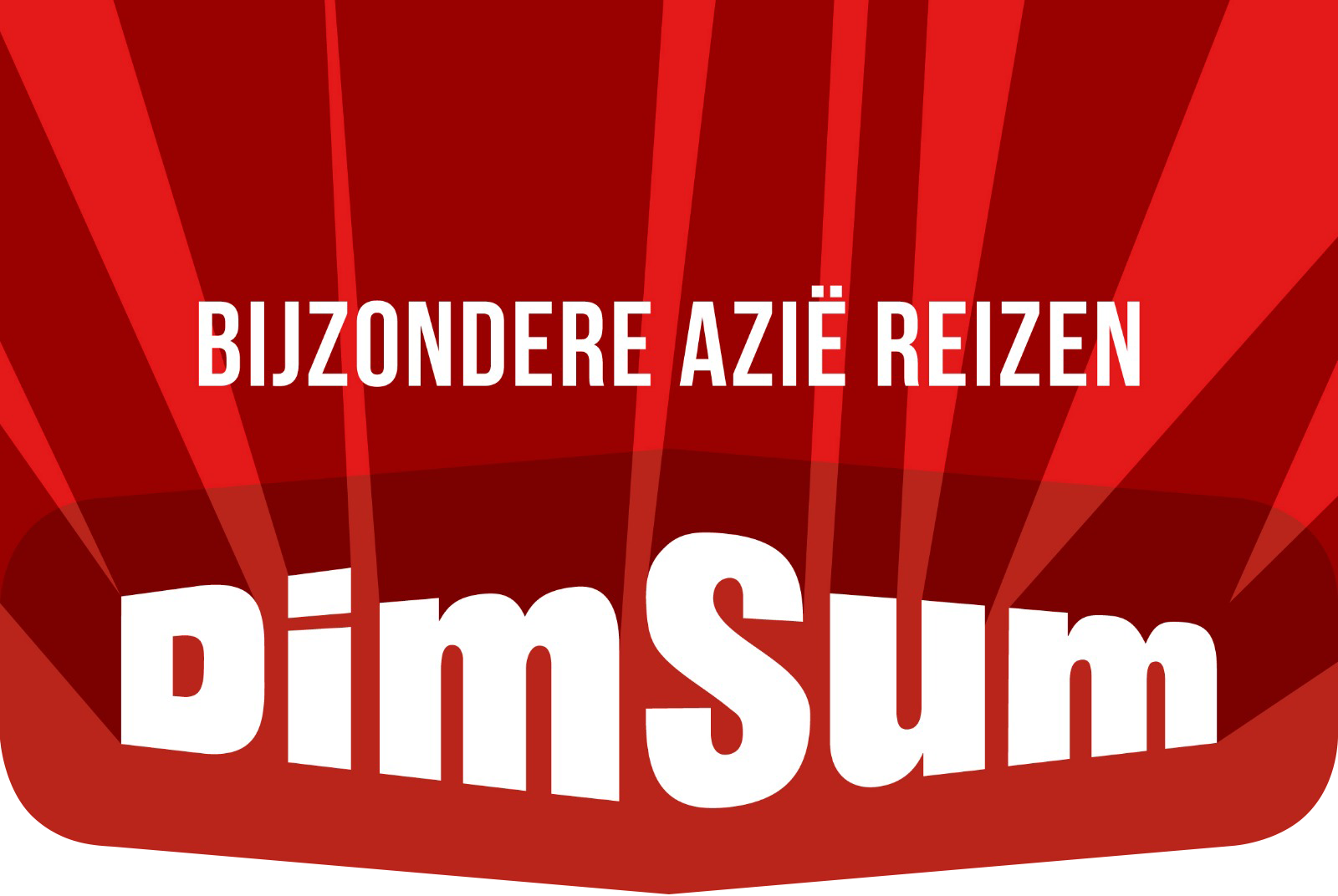 Dimsum Reizen logo